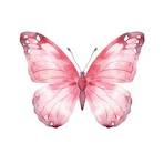 Mehta Websolution Logo